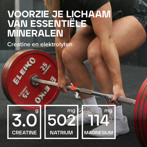 Creatine & Electrolytes Powder - Bulk