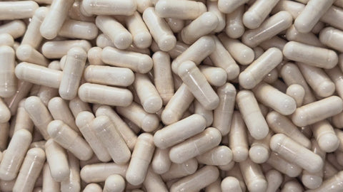 Beta-Ecdysterone 98% – Capsules – BulkLab Nutrition