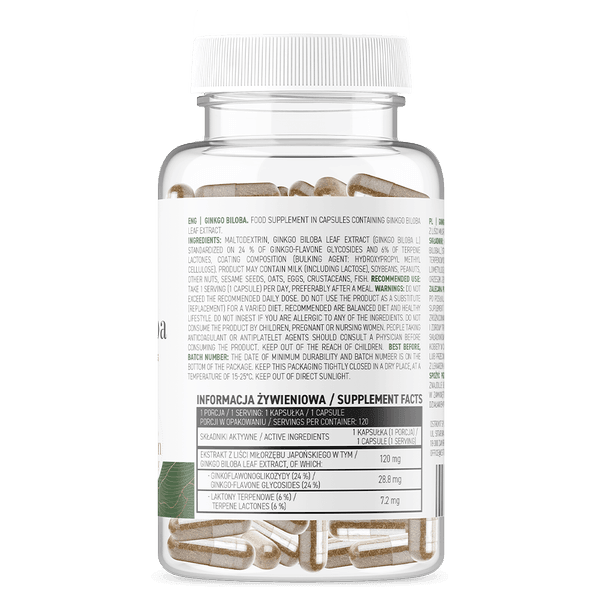 Ginkgo Biloba - Vegan - 120 Capsules - OstroVit