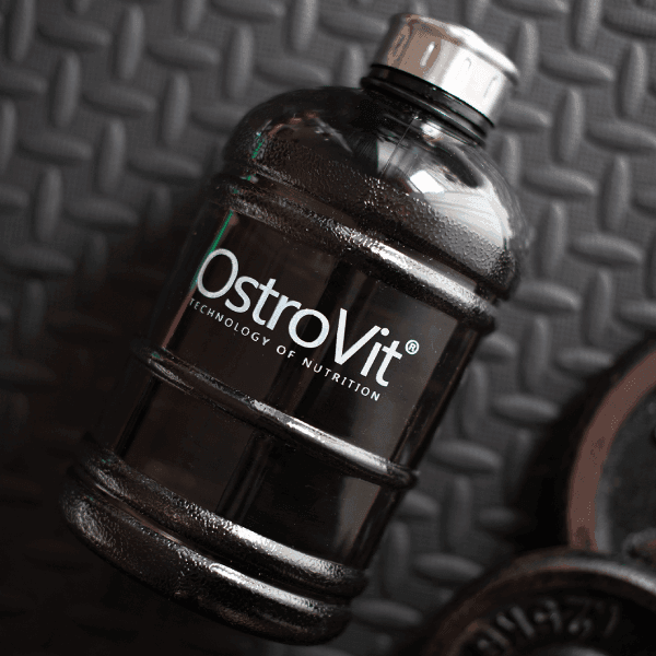 Water Gallon - 1890 ml - OstroVit